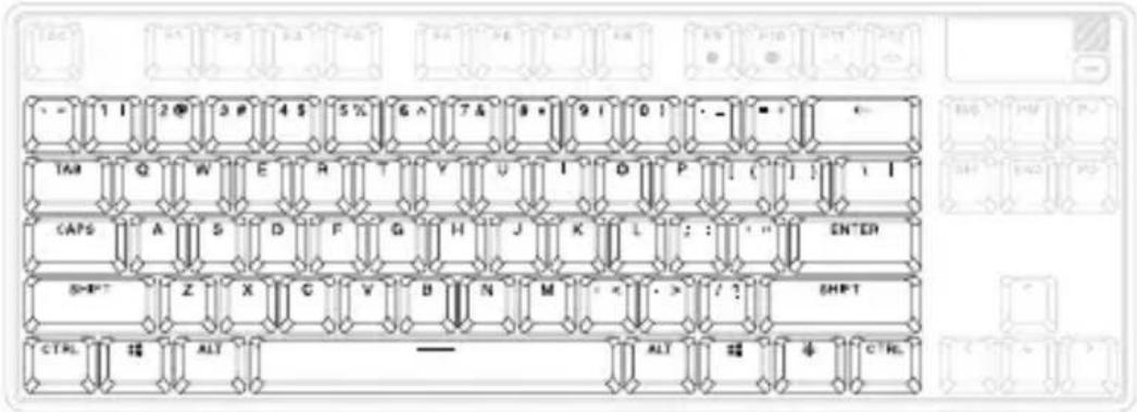 STEELSERIES Apex Pro TKL Wireless - OMNIPOINT ADJUSTABLE ACTUATION - 1