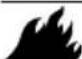 Generac PRO 6712 - WARNING - 1