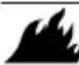 Generac 2900PSI - ADVERTENCIA - 1