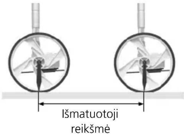 Išmatuotoji reikšme