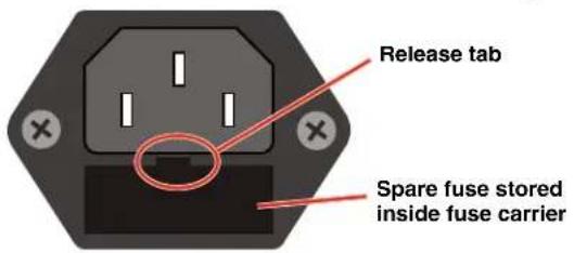 Release tab Spare fuse stored inside fuse carrier