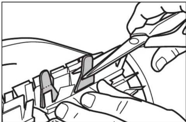 POLARIS P825 - Replacing the Brushes - 5