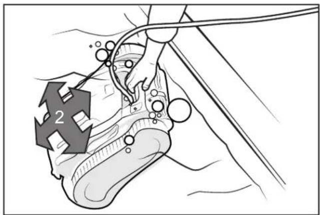 POLARIS VORTRAX 30iQ - Install and Submerge the Cleaner - 2