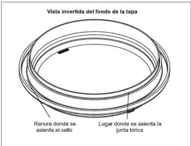 Jandy ePump + SVRS - Reemplace la junta tórica azul - 1