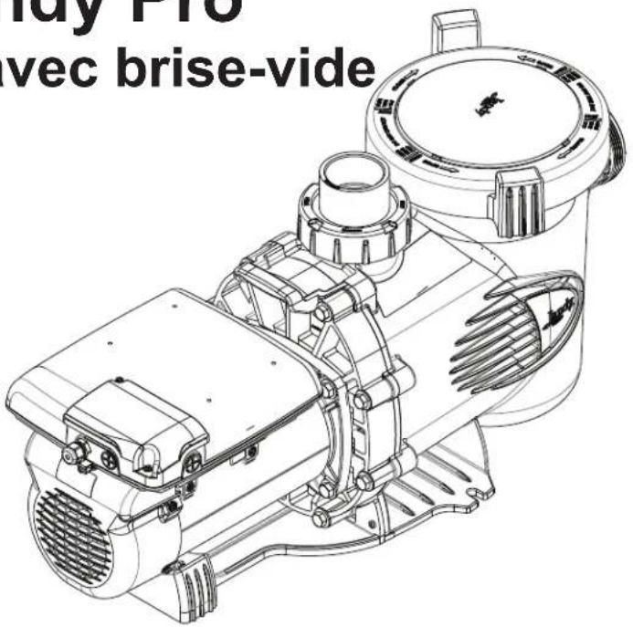 Jandy ePump + SVRS - Série jandy pro epump™ avec brise-vide - 1