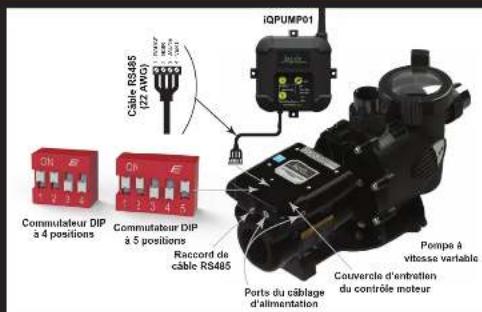 Jandy iQPUMP01 - Câblage de l'interface IQPUMP01 - 1