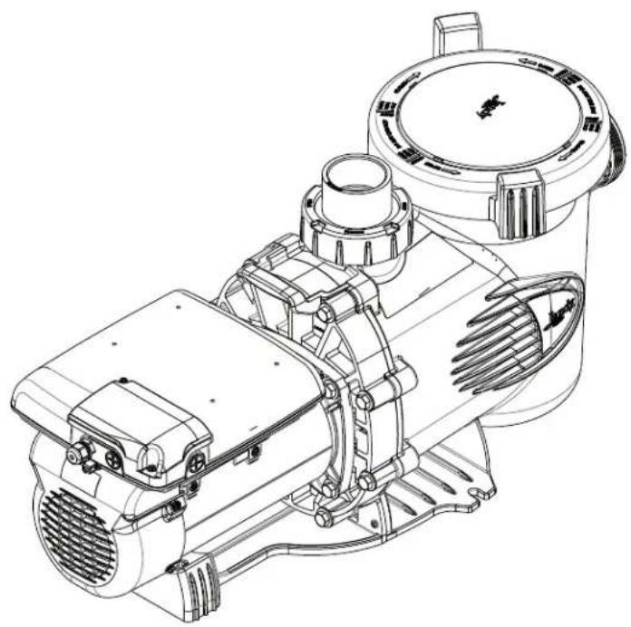 Jandy VSSHP220AUT - Guide de remplacement du moteur - 1