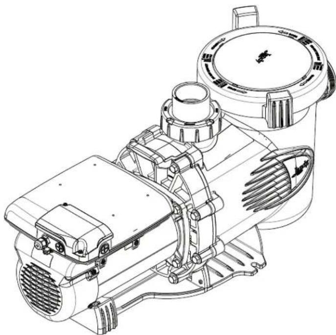 Jandy VSSHP220AUT - Pompes de la série epump™ - 1
