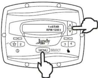 Jandy JEPR - Vitesse eStar - 1