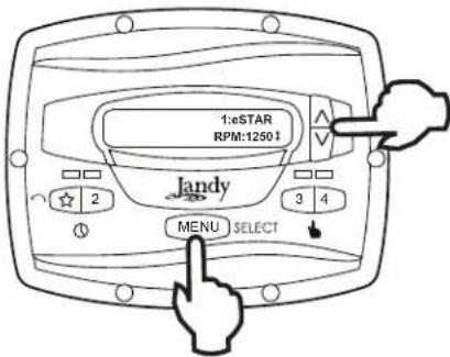 Jandy JEPR - eStar Speed - 1