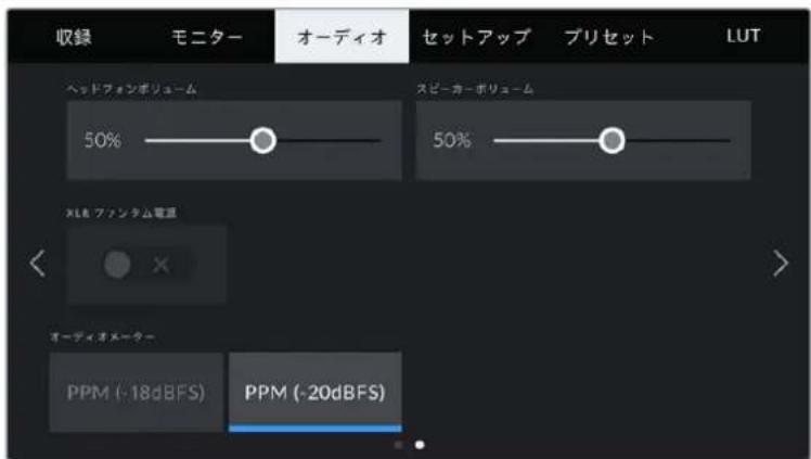 Blackmagic Design Pocket Cinema Camera 6K Pro - オーディオ設定 2 - 1