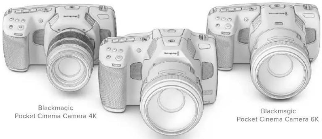 Blackmagic Design Pocket Cinema Camera 6K Pro - 再生 - 1