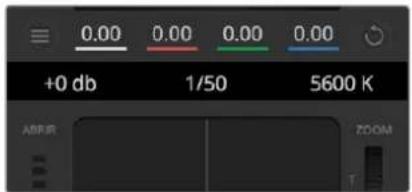 Blackmagic Design Pocket Cinema Camera 6K Pro - Balance de blancos - 1