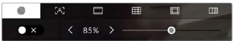 Blackmagic Design Pocket Cinema Camera 6K Pro - Options de l'écran LCD - 3