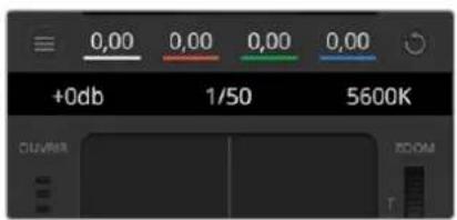 Blackmagic Design Pocket Cinema Camera 6K Pro - Balance des blancs - 1
