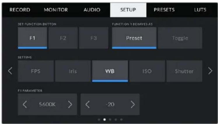 Blackmagic Design Pocket Cinema Camera 6K Pro - Setup Settings 2 - 1