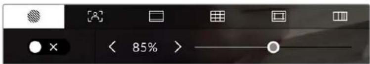 Blackmagic Design Pocket Cinema Camera 6K Pro - ゼブラ - 1