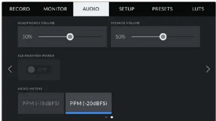 Blackmagic Design Pocket Cinema Camera 6K Pro - Audio Settings 2 - 1
