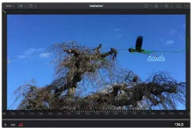 Blackmagic Design Pocket Cinema Camera 6K Pro - Usar la función de seguimiento y agregar texto - 4