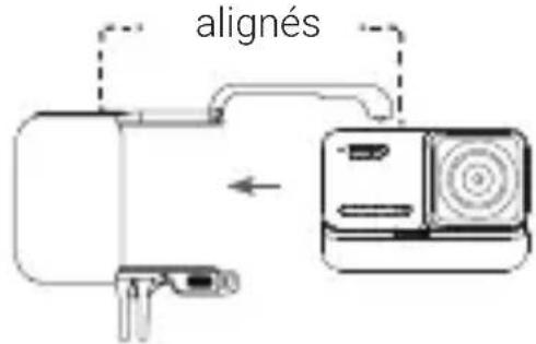 alignés