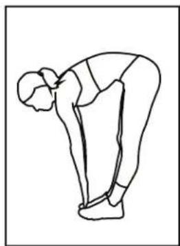 BH FITNESS LK700E CORE - Toe Touches - 1