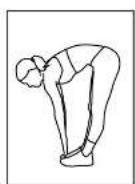 BH FITNESS LK500Ti - FLEXIONS AVANT - 2