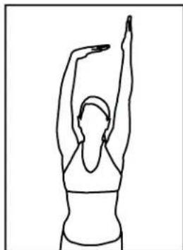 BH FITNESS S5TiB - Étreiment des quadriceps - 3
