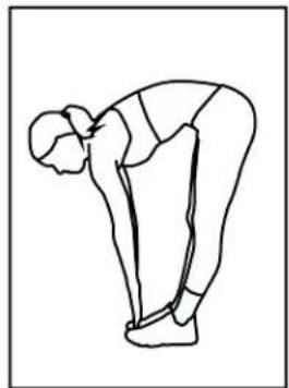 BH FITNESS S5TiB - Flexions avant - 1