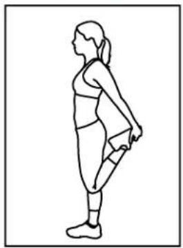 BH FITNESS S5TiB - Quadriceps Stretch - 4