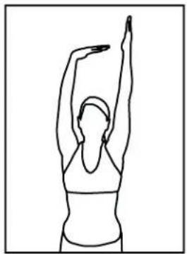 BH FITNESS S1TiB - Quadriceps Stretch - 3