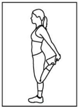 BH FITNESS S1TiB - Quadriceps Stretch - 4
