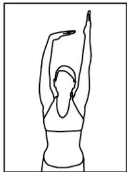 BH FITNESS S1TiB - Étirement des quadriceps - 3