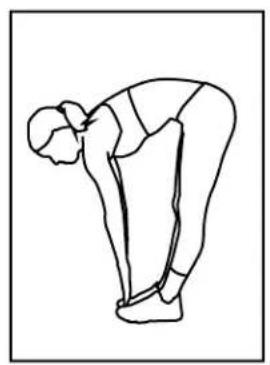 BH FITNESS S1TiB - Flexions avant - 1