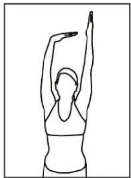 BH FITNESS LK700T CORE - ÉTIREMENTS LATERAUX - 1