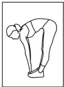 BH FITNESS LK700T CORE - TOE TOUCHES - 1