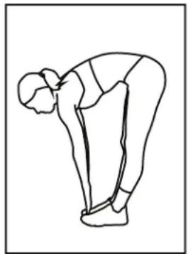 BH FITNESS S1XiB - Étirement de l'intérieur de la cuisse - 2