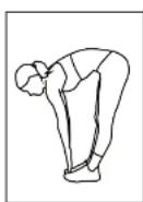 BH FITNESS S3XiB - Flexions avant - 2
