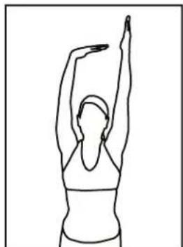 BH FITNESS S5XiBCOM - QUADRICEPS STRETCH - 3