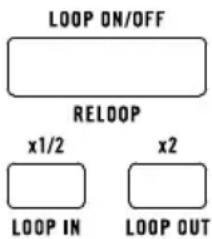 Rane Seventy ATrack Signature Edition - Looping - 1