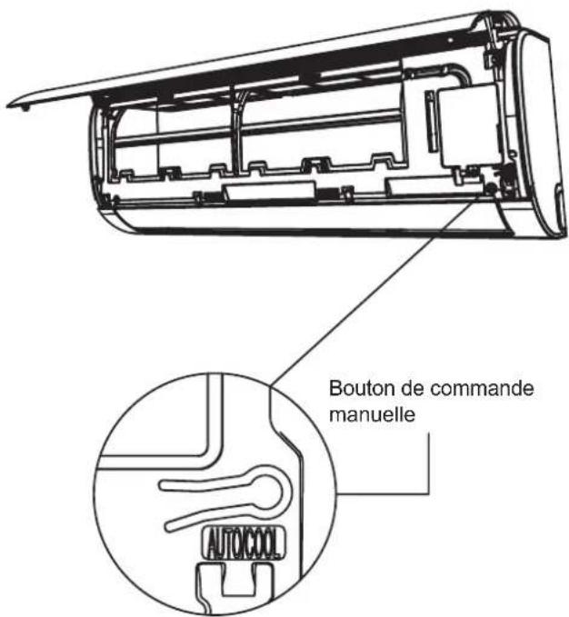 Bouton de commande manuelle