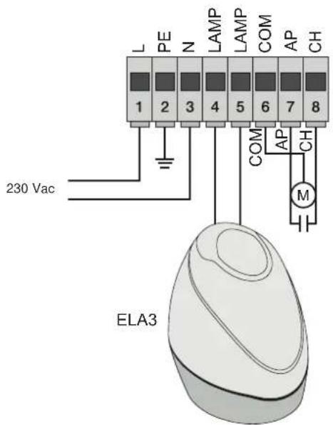 Vimar ELVOX ESM6.D - - Cablaggio linea alimentazione, lampeggiante e motore elettrico: - 1