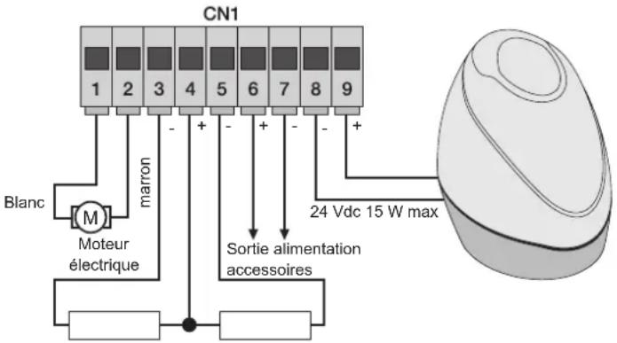 Vimar ELVOX EK02.EXP.120 - - Câblage clignotant, éclairage de courtoisie et voyant de signalisation du mouvement du portail - 1