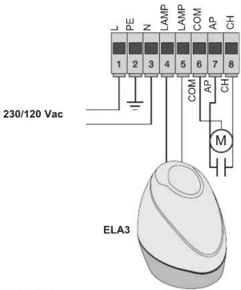 Vimar ELVOX ESM5.120 - 3.1- Verkabelung für Versorgungsleitung, Blinkleuchte und Elektromotor: - 1