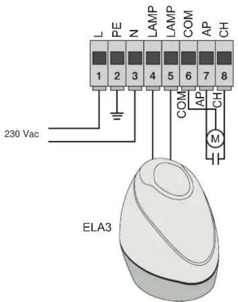 Vimar ELVOX ESM4.D - - Cablaggio linea alimentazione, lampeggiante e motore elettrico: - 1