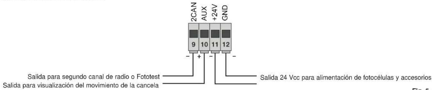 Vimar ELVOX ESM4.D - - Cableado salidas de 24 V: - 1