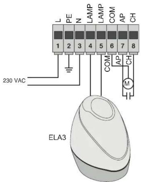 Vimar ELVOX ESM4.D - - Verkabelung für Versorgungsleitung, Blinkleuchte und Elektromotor: - 1