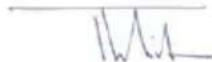Weller WFE P - BHIMAHHE - 2