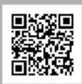 Weller WXPP MS - \section*{Característica Tecnicas} - 2