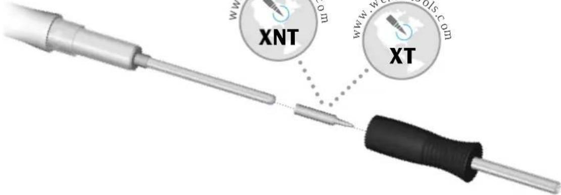 XNT XT