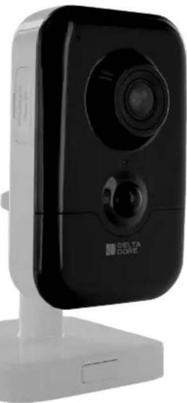 DELTA DORE Tycam 2100 - Tycam 1100 - Tycam 2100 - 1